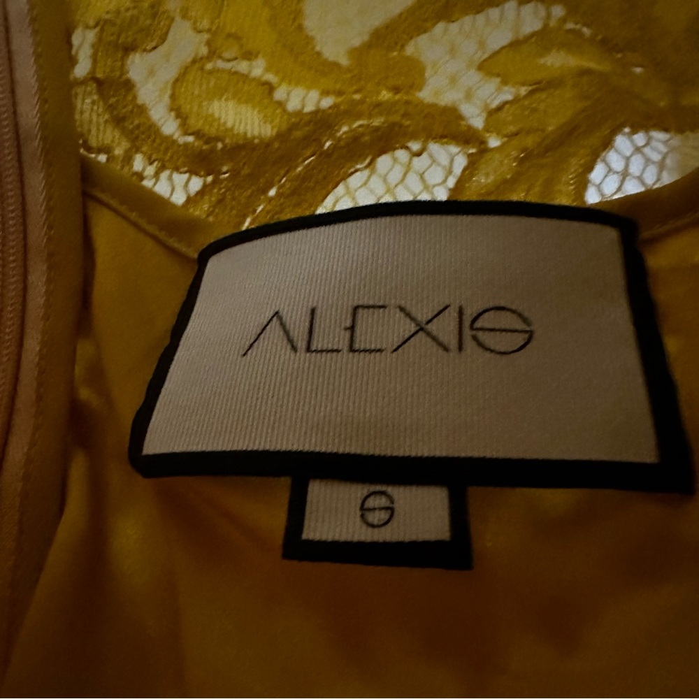 Alexis Nuray mini dress - Picture 6 of 10